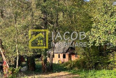 Casa cu teren, str. Slatinei, Luncani - Margineni - Bacau - 7