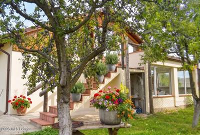 Curtea de Arges - Casa P+M, 270 mp, Teren 3149 mp - 24