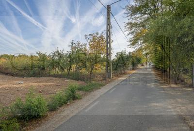 | Teren Intravilan Domnesti 585 mp-Investitie | - 1