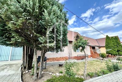 Casa pe un nivel, 141mp utili, mobilata, pivnita, zona Turnisor - 26