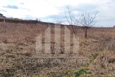Teren intravilan | De vanzare | 640 mp | 12 ml deschidere | Limba - 2