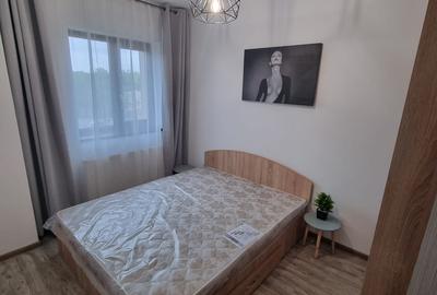 420euro/luna, apartament 2 camere open space, Tudor Vladimirescu-Iulius Mall - 9