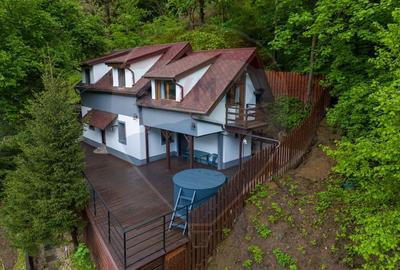 Casă  de închiriat în inima pădurii - se accepta subînchirierea - 1