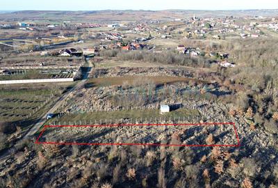 Teren intravilan in apropiere de padure, Paleu, Bihor - 3