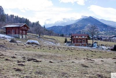 Teren Intravilan Rasnov Zona Glajarie Pozitie Deosebita - 10