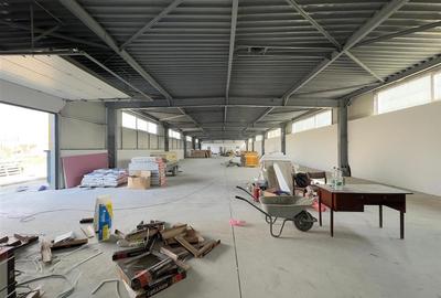 Hala de inchiriat Iasi CUG, 300mp, langa Vama Iasi, Kaufland - 9