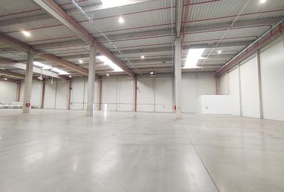 Hala productie depozitare sau logistica - 5