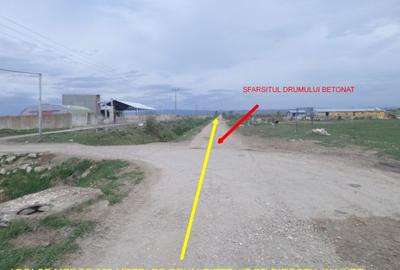 Teren ideal ferma, pt dezvoltare agricola, proiect fotovoltaice - 3