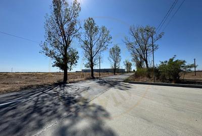 Teren extravilan de vânzare – Căteasca, Argeș | 27.201 mp | Deschidere 58,55 m - 7