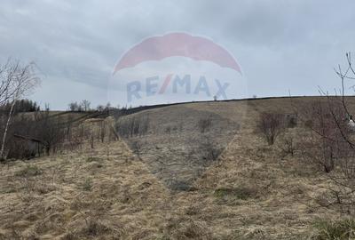 Teren intravilan 2307 mp în Salicea, zona premium, aproape de Cluj - 18