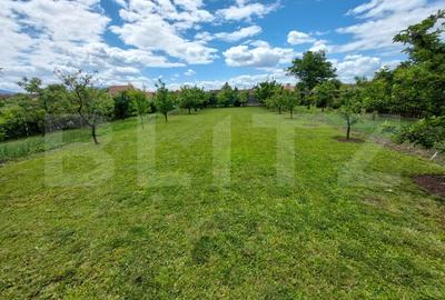 Proprietate deosebită cu panouri fotovoltaice si panouri solare –Sânpetru,BV. - 20