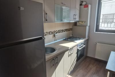 Apartament 2 camere | In zona Mosilor | Curte Proprie - 9