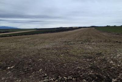 Teren agricol extravilan de 2800 mp, în Daia Română