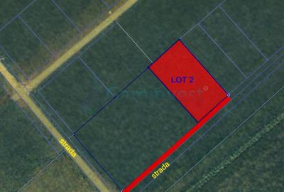 Teren intravilan de vanzare in Sanmartin - 2