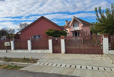 OFERTA! Proprietate 2 case + Cabană I Mobilat și utilat I Băcia, HD - 1