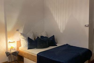 Apartament 1 camera Ultracentral etaj 1 cu centrala - 4