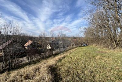 Teren intravilan, Bădeni, parcelabil - 6