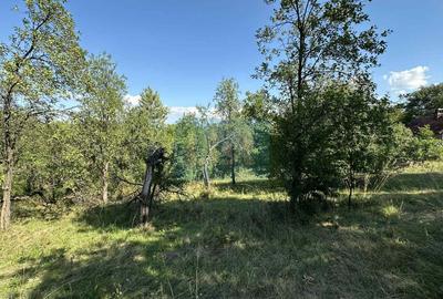 Vânzare teren Reșița: 17260 mp, Calea Caransebeșului - 3