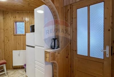 Casa de vacanta Predeal, langa padure, istoric airbnb - 9