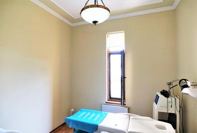 VIla reprezentativa  - Piata Romana - 11