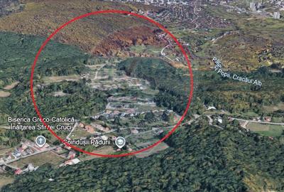 Teren construibil imediat, de vanzare in Faget 800 MP / LID - 1