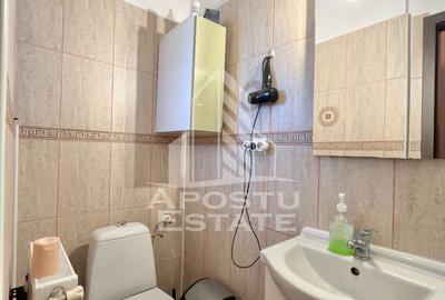 Casa cu 4 camere si 2 bai mobilata in Timisoara - Calea Urseni. - 17
