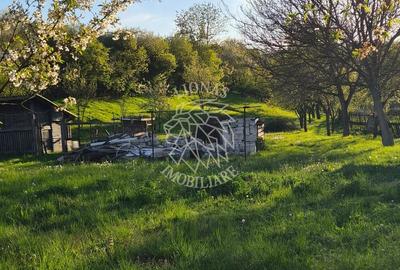 Teren intravilan 1997 mp-Parcelabil-ideal casa-Ghinda - 1