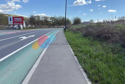 Teren 2900 mp, front la DJ, zona Valea Chintaului - 10