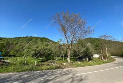 Teren 2000mp | Muntele Mic - 1