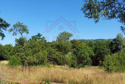 TEREN INTRAVILAN ZĂVOI\ZONA VALEA BISTREI, JUD.C-S - 1