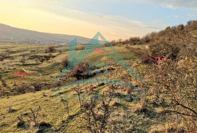 De vanzare terenuri in Popesti, comuna Baciu! Oportunitate de investitie! - 1