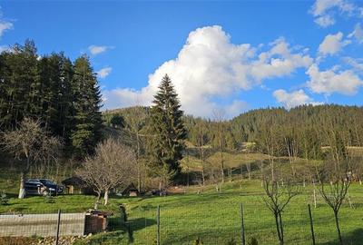 OPORTUNITATE-Casa individuala Sd-365mp,teren 958 mp, BUCOVINA-loc.FRUMOSU - 17