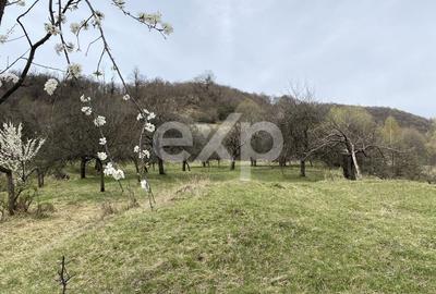 Oportunitate investiție în Corbi, Argeș | 22.000 mp teren în zonă de poveste - 5