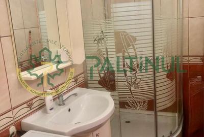 Apartament 1 camera de inchiriat Sibiu - 7