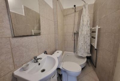 Casa pentru Investitie compartimentata in 5 apartamente - 7