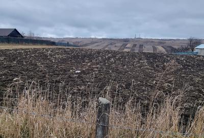 Terenuri intravilane la Stancesti si teren cu constructie - 4