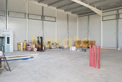 Spatiu de depozitare/productie de inchiriat - Zona de Vest - 3