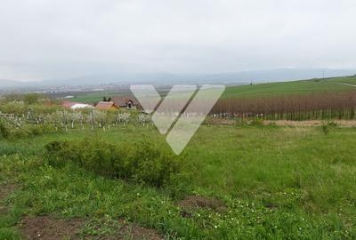 Teren Construcții intravilan de 536 mp, în Șura Mare