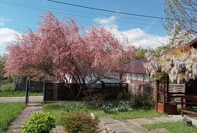 Ocazie! Teren intravilan cu utilități  in Aiton la 30 min. de centru Cluj-Napoca - 6