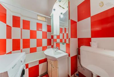 Apartament 1 camera Micalca de vanzare - 8