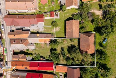 FILM!Doua case traditionale,pe domeniu cu peste 5.000mp teren,Bixad,Covasna - 9