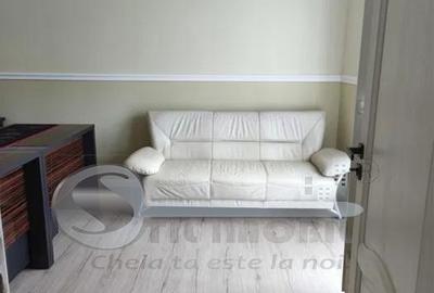 Apartament cu 2 camere, renovat complet, Tudor Vladimirescu – Bucsinescu - 2