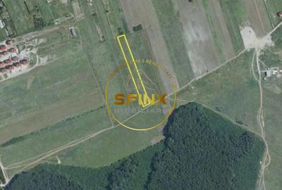 Corbeanca 5000 mp, deschidere 22 m la Drum asfaltat, padure, utilitati la limita - 4