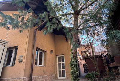 Vila ideala pentru 1-2 firme, gradinita, cresa sau 2 familii - 1