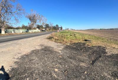 Medgidia -Teren 3 ha , deschidere la DN 22C , vizavi de Fluvimed Medgidia - 1