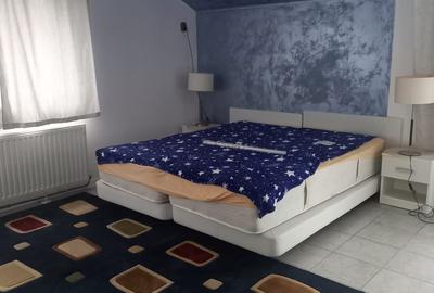 Snagov Astoria aproape padure Vila tip duplex Mobilata Utilata Curte amenajata - 11