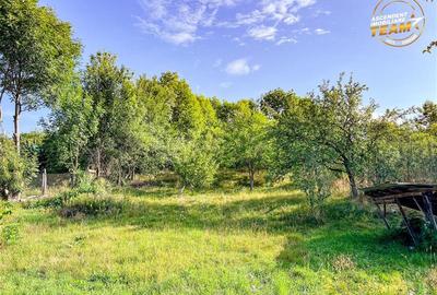 FILM!Areal apreciabil,casa+domeniu de 3.500mp,Sancraiu,vecin Sfantu Gheorghe si - 26