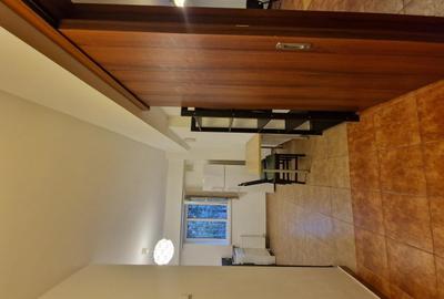 Decebal - Calarasilor - Pta Muncii, garsoniera moderna, bloc mixt, stradal - 12