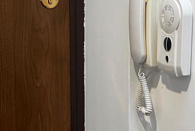 Apartament situat pe str I C Bratianu in Centrul istoric - 5