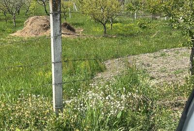 Teren Construcții intravilan de 5300 mp, în Unirea